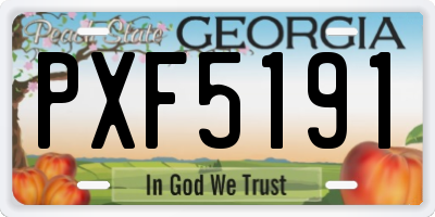 GA license plate PXF5191