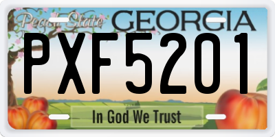 GA license plate PXF5201
