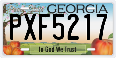 GA license plate PXF5217