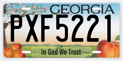 GA license plate PXF5221