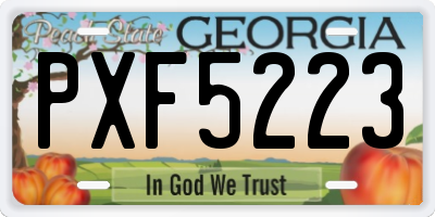 GA license plate PXF5223