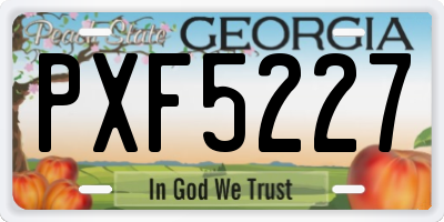 GA license plate PXF5227