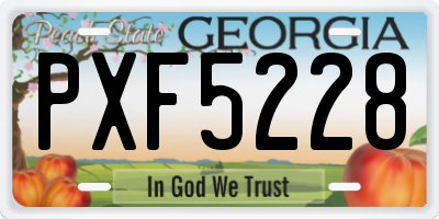 GA license plate PXF5228