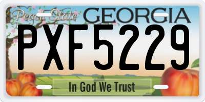 GA license plate PXF5229