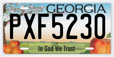 GA license plate PXF5230