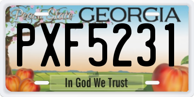 GA license plate PXF5231