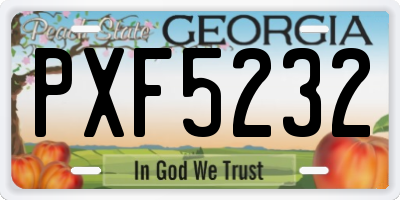 GA license plate PXF5232