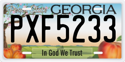 GA license plate PXF5233