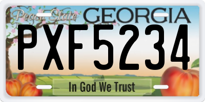 GA license plate PXF5234