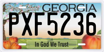 GA license plate PXF5236