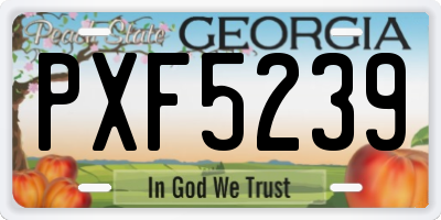 GA license plate PXF5239