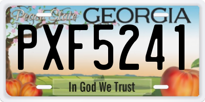 GA license plate PXF5241