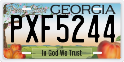 GA license plate PXF5244