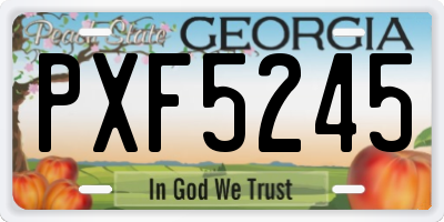 GA license plate PXF5245