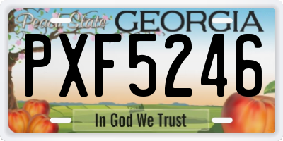 GA license plate PXF5246