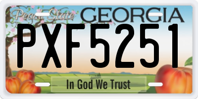 GA license plate PXF5251