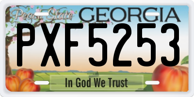 GA license plate PXF5253
