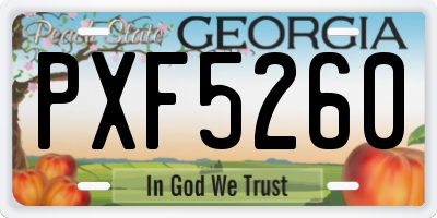 GA license plate PXF5260