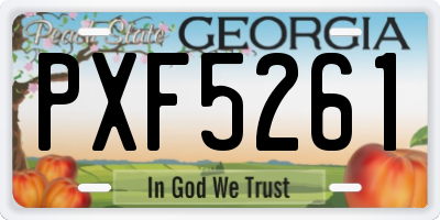 GA license plate PXF5261