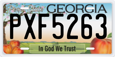 GA license plate PXF5263