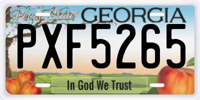 GA license plate PXF5265