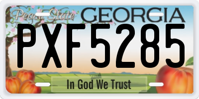 GA license plate PXF5285