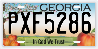 GA license plate PXF5286