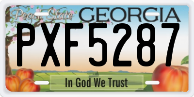 GA license plate PXF5287