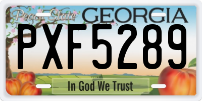 GA license plate PXF5289