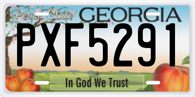 GA license plate PXF5291