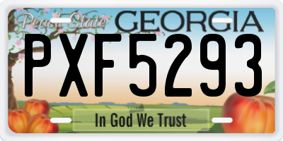 GA license plate PXF5293