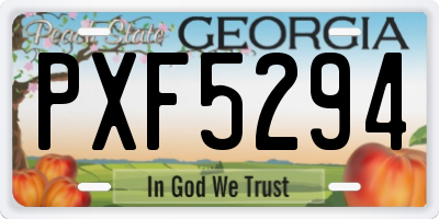 GA license plate PXF5294