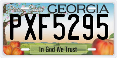 GA license plate PXF5295