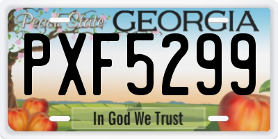 GA license plate PXF5299