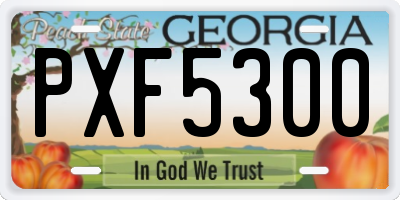 GA license plate PXF5300