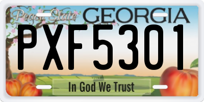 GA license plate PXF5301