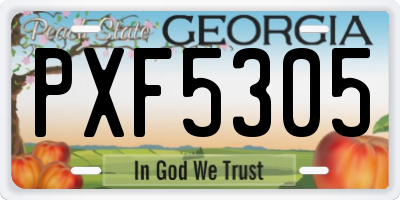 GA license plate PXF5305