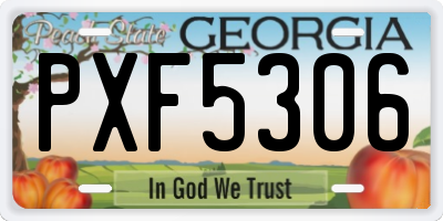 GA license plate PXF5306