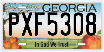 GA license plate PXF5308