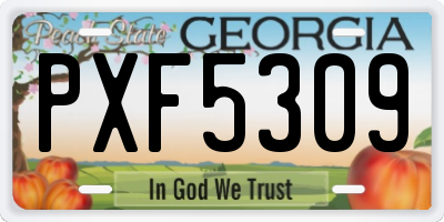 GA license plate PXF5309