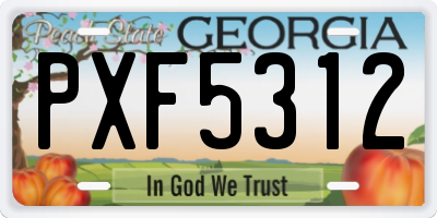 GA license plate PXF5312