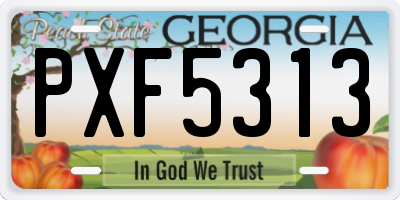 GA license plate PXF5313