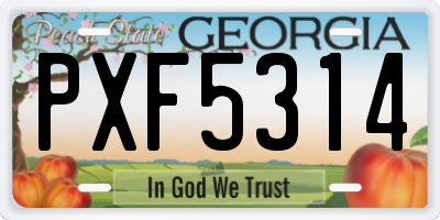 GA license plate PXF5314