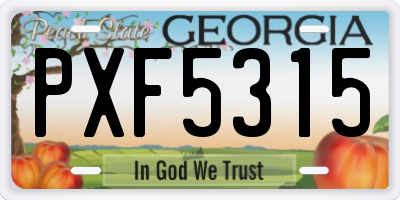 GA license plate PXF5315