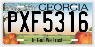 GA license plate PXF5316