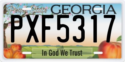 GA license plate PXF5317