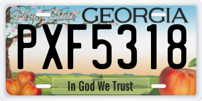 GA license plate PXF5318
