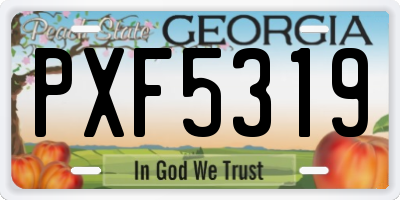 GA license plate PXF5319