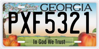 GA license plate PXF5321