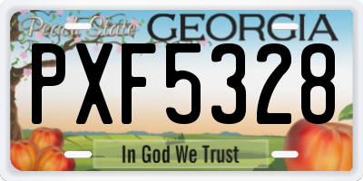 GA license plate PXF5328
